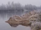 Image 14